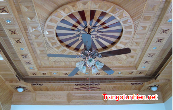 trần gỗ tự nhiên đẹp