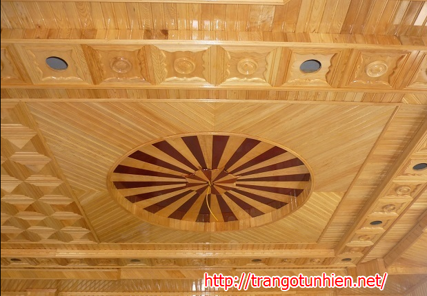 Mẫu trần gỗ tự nhiên TG10
